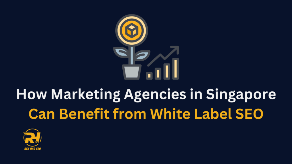 How-Marketing-Agencies-in-Singapore-Can-Benefit-from-White-Label-SEO